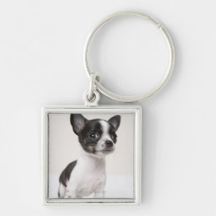 Chihua puppy staat op wit weefsel sleutelhanger