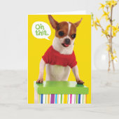 Chihuahu Drôle Chig Avec Lisp Carte Anniversaire B (Fleur jaune)