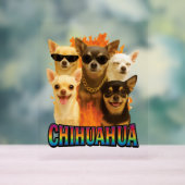 Chihuahua (Neutre)