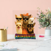 Chihuahua (Mariage)