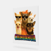 Chihuahua (Angle)