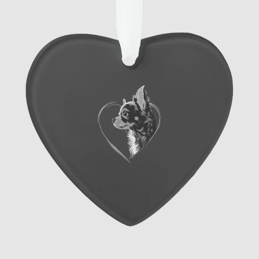 Chihuahua      (devant)