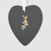 Chihuahua (devant)