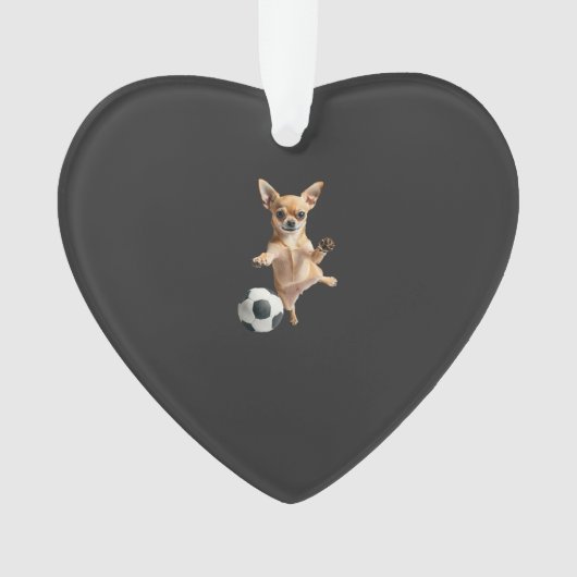 Chihuahua (devant)