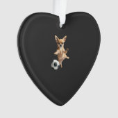 Chihuahua (devant)