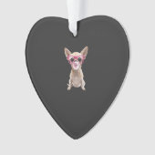 Chihuahua (devant)