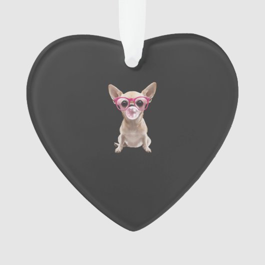 Chihuahua (devant)