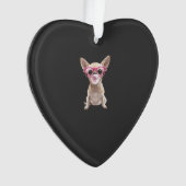 Chihuahua (devant)