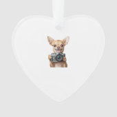 Chihuahua (devant)