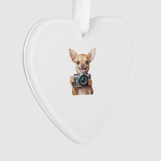 Chihuahua (devant)