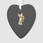 Chihuahua   (devant)
