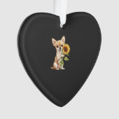 Chihuahua   (devant)