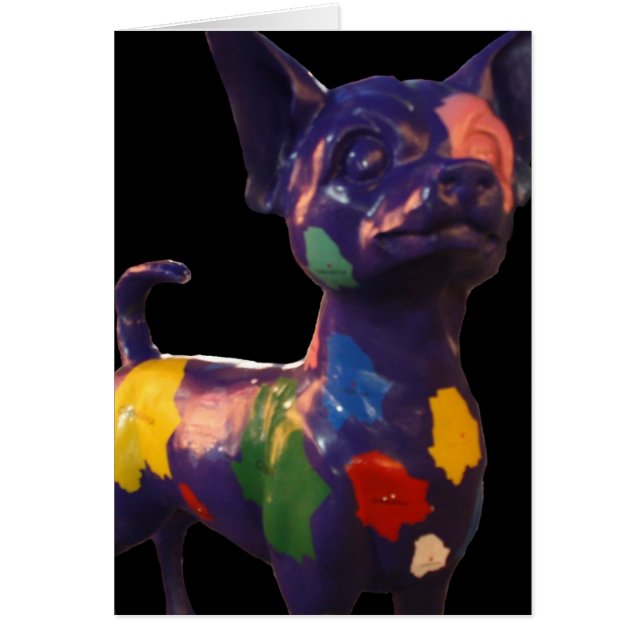 chihuahua (Devant)