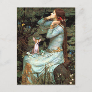 Chihuahua 1 - Ophelia Zittend Briefkaart