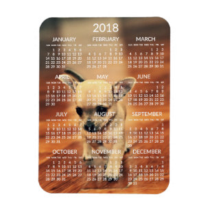 Chihuahua 2018 Calendar Photo Magnet 3x4 Small Magneet