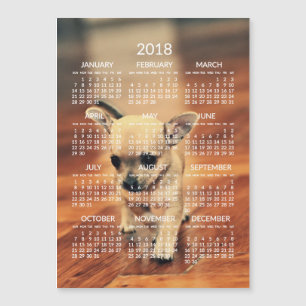 Chihuahua 2018 Calendar Photo Magnetic Kaart 5x7
