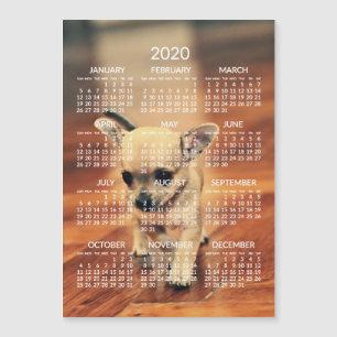Chihuahua 2020 Agenda Foto Magnetic Kaart 5x7