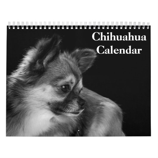 Chihuahua 2025 kalender (Hoes)