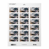 Chihuahua adresetiketten etiket (Full Sheet)