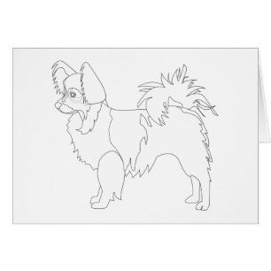 Chihuahua aux cheveux longs prêt à la couleur et à