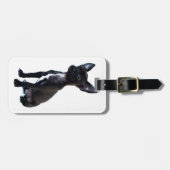 Chihuahua Bagagelabel (Voorkant horizontaal)