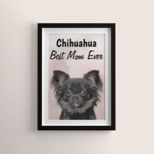 Chihuahua Best Mam Poster