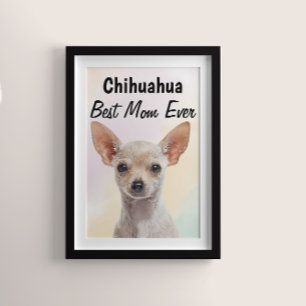 Chihuahua Best Mam Poster