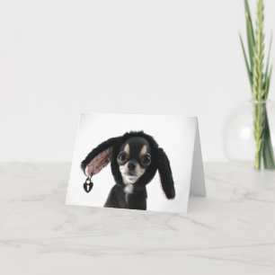 Chihuahua Big Eyed Avec Carte Oreilles Bunny