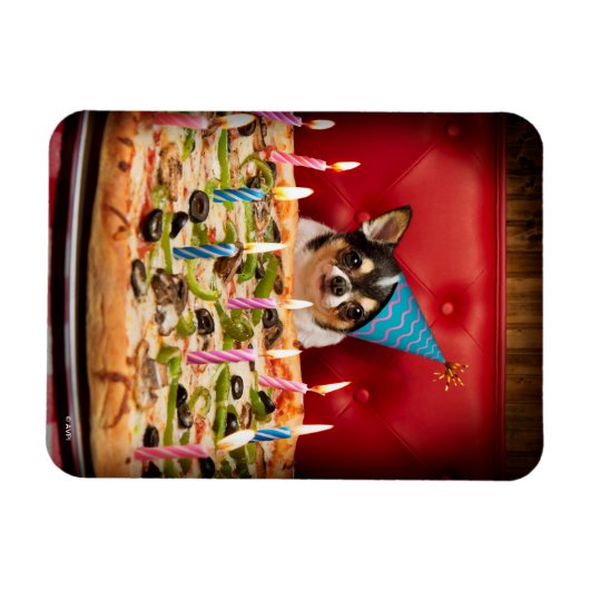 Chihuahua Birthday Pizza Pie Magneet (Horizontaal)