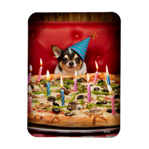 Chihuahua Birthday Pizza Pie Magneet
