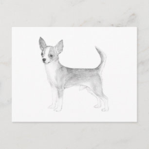 Chihuahua Briefkaart