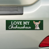 Chihuahua bumper sticker (Op auto)