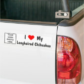Chihuahua Bumpersticker (Op Truck)