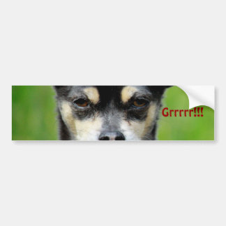 Chihuahua! Bumpersticker
