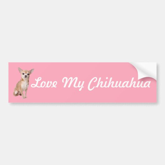 Chihuahua Bumpersticker (Voorkant)