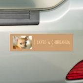 Chihuahua Bumpersticker (Op auto)