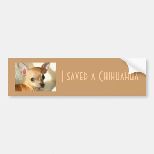 Chihuahua Bumpersticker (Voorkant)