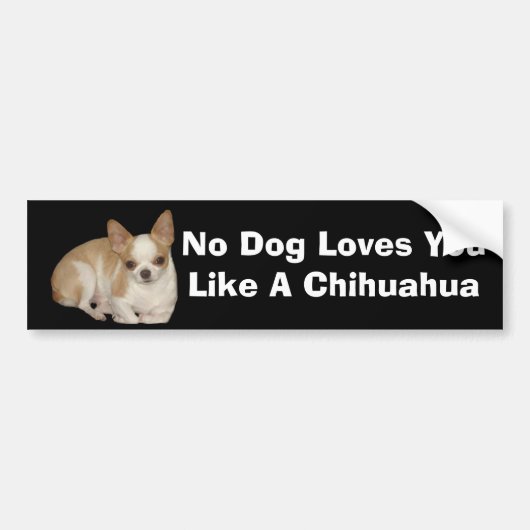 Chihuahua Bumpersticker (Voorkant)