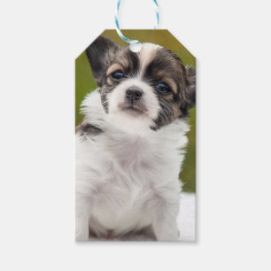 Chihuahua Cadeaulabel