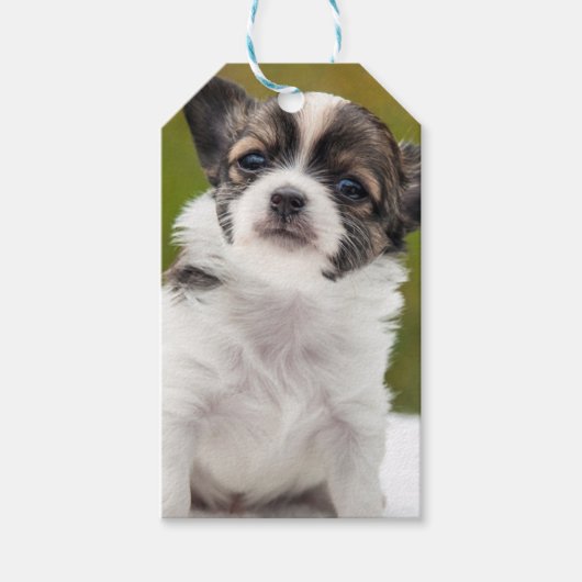Chihuahua Cadeaulabel (Voorkant)