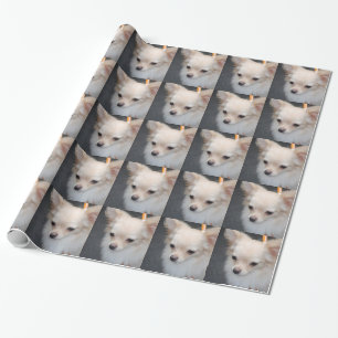 Chihuahua Cadeaupapier