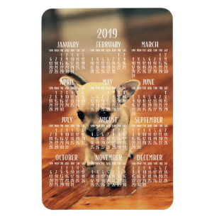 Chihuahua Calendar 2019 Photo Magnet 4x6 Large Magneet