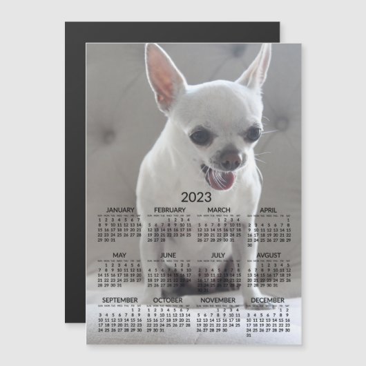 Chihuahua Calendar 2023 Magnetic Photo Card (Voorkant / Achterkant)