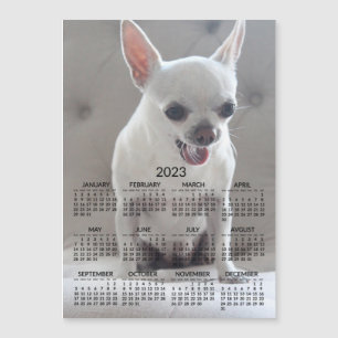 Chihuahua Calendar 2023 Magnetic Photo Card