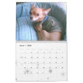 Chihuahua Calendar! Kalender (Mar 2026)