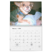 Chihuahua Calendar! Kalender (Feb 2026)