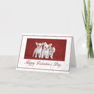 Chihuahua Carte Saint-Valentin 2
