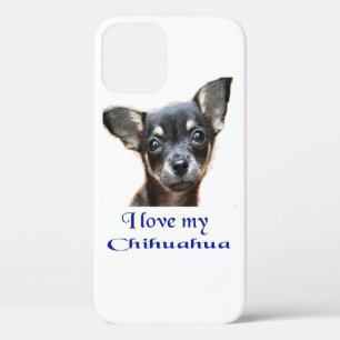 Chihuahua  iPhone 12 hoesje