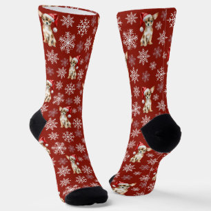 Chihuahua Chi Hond in Kerstmannenhoed Rood Sokken