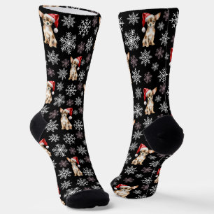 Chihuahua Chi Hond in Kerstmannetjeshoed Zwart Sokken